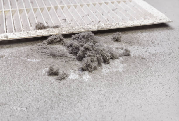 Best Residential Air Duct Cleaning  in Cedar Ridge, CA